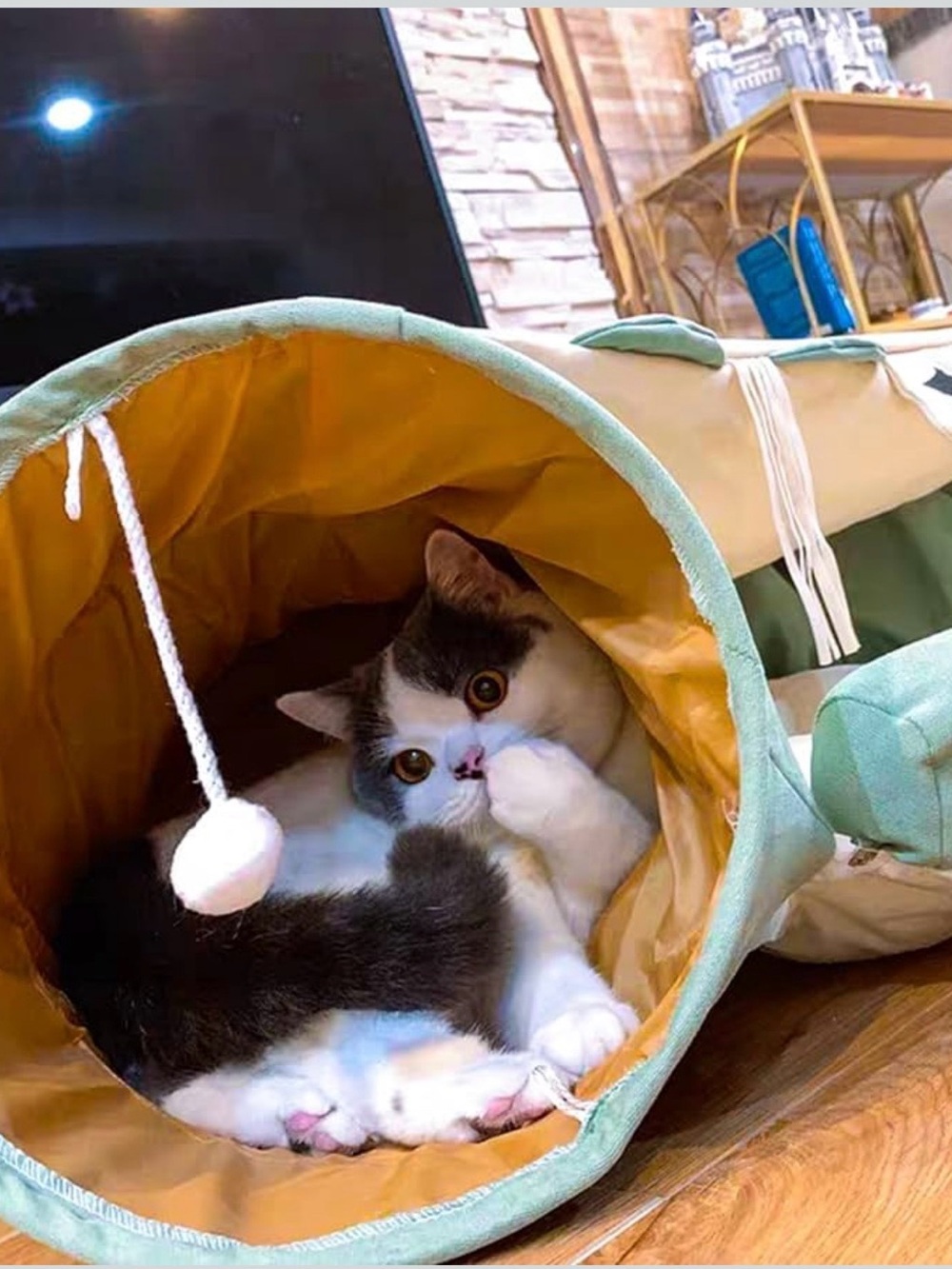 Peel-A-Boo Cat Tunnel & Bed - Picture 5 of 15